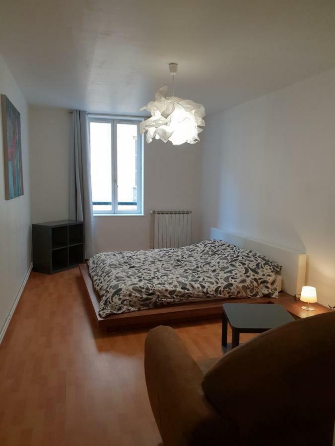 Grand Appartement En Centre Ville Metz Buitenkant foto